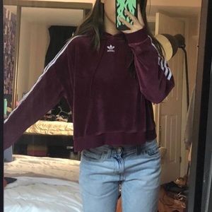 Velvet maroon crop hoodie